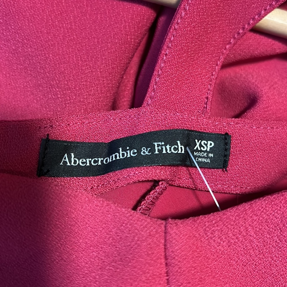 A&F Raspberry Bodycon Dress - Picture 4 of 4